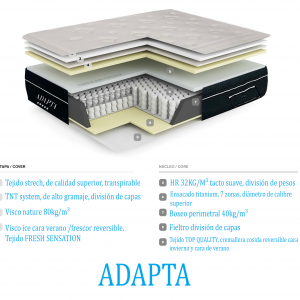 Adapta
